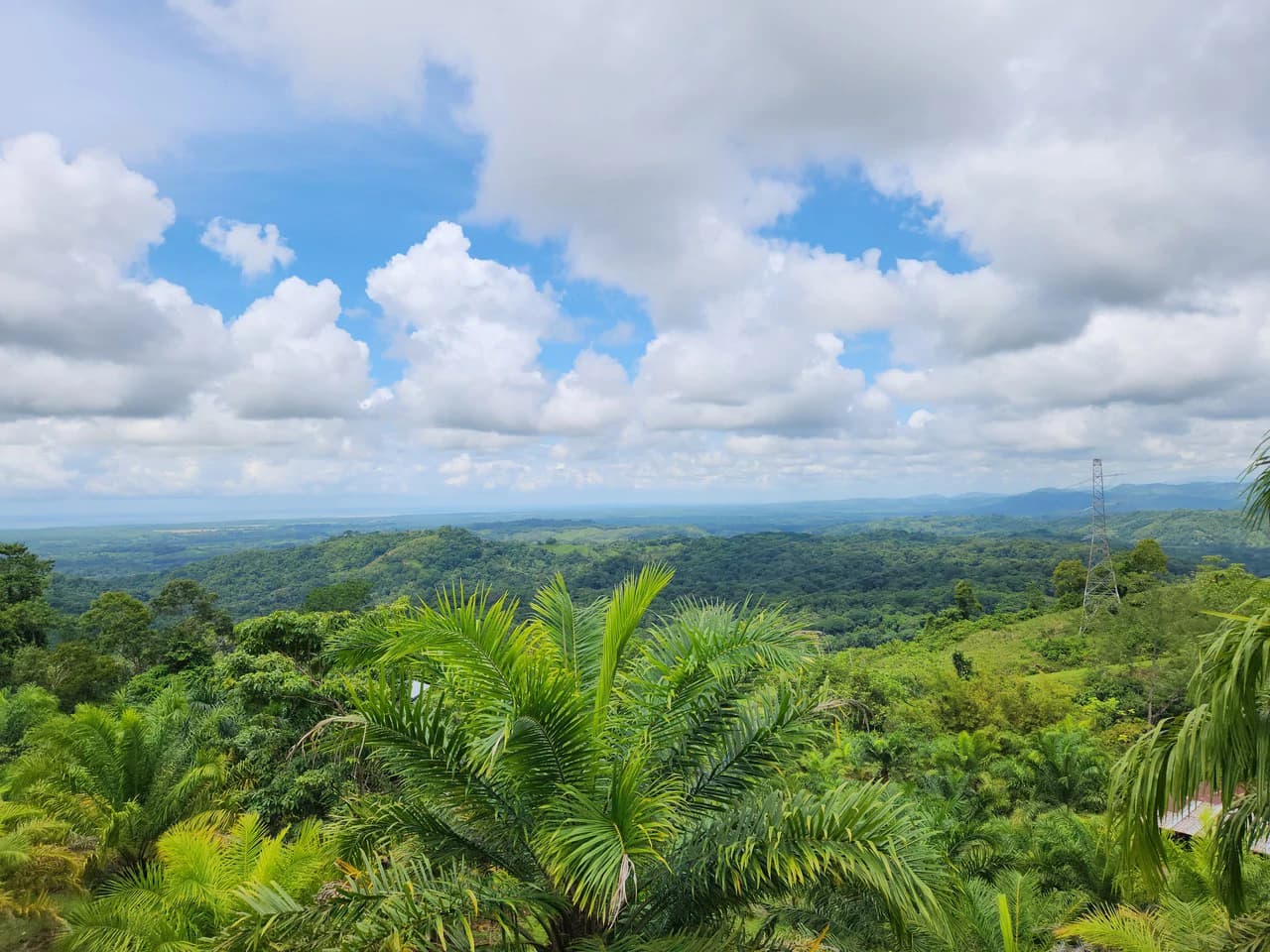 PRIME PARRITA FARM FOR SALE - photo 15