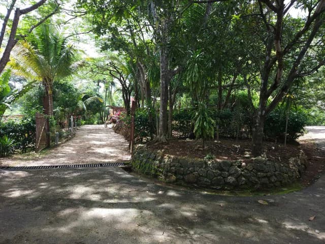 Nosara's Brand New Top Villas as a Business Opportunity in the dense forest of catchment area, 7 villas for sale in Costa Rica's Healthy Blue Zone