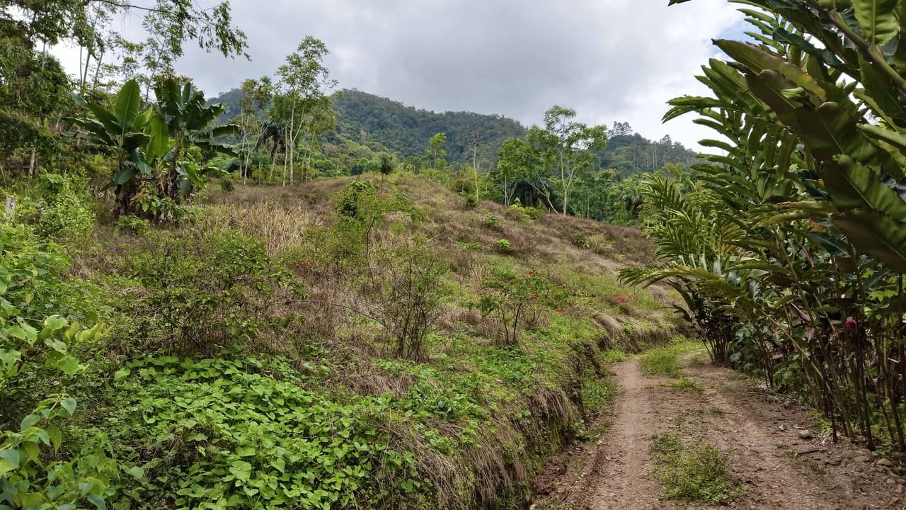 Countryside Home Construction Site For Sale in San Isidro del General - photo 11