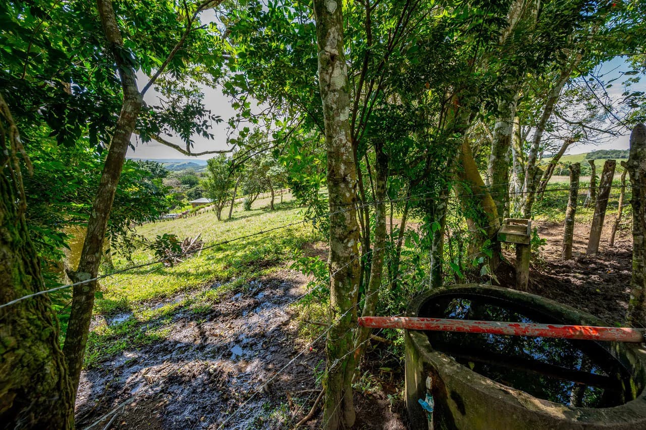 LA CABAÑA - 13+ ACRES & a TINY HOUSE & outstanding VIEWS - REDUCED PRICE - SELLER MOTIVATED - photo 37