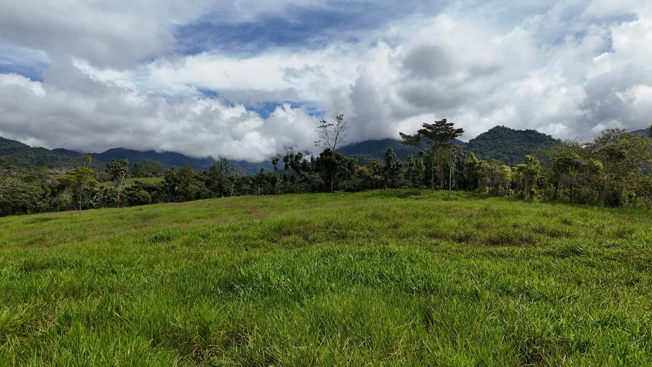 Countryside Home Construction Site For Sale in Santa Elena - photo 5