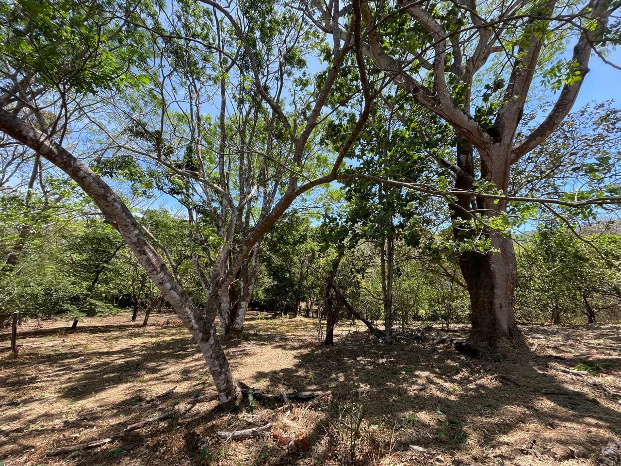 Ocean view property for sale Rodeo Ciudad Colon San Jose Costa Rica - photo 18