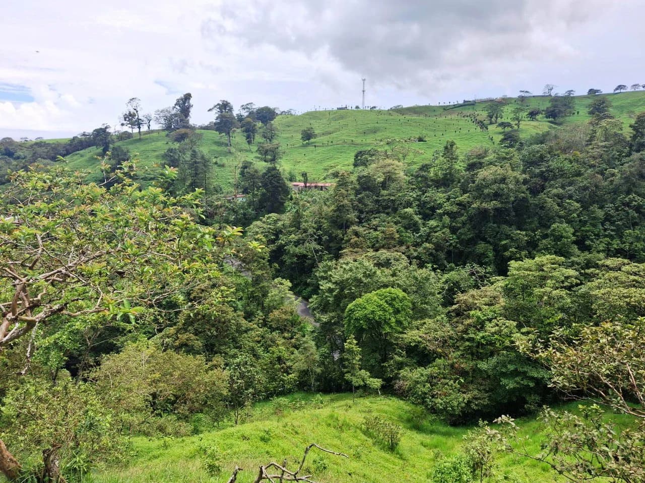 INVESTOR & DEVELOPER ALERT: High-Visibility Investment Property in the Heart of Tourist-Friendly Zarcero - photo 16