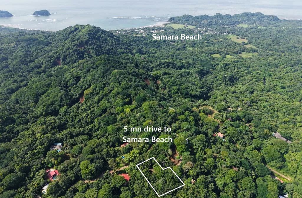 LOTE 29 SAMARA WOODS: Last Beautiful Lot With Jungle Views in quiet Samara Woods community – 5 minutes from Samara Samara - Samara Woods Exclusivity