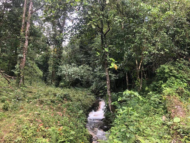 Hot and Cold Thermal Springs for Sale – Beautiful Property in Dos Ríos, Alajuela with Excellent Commercial Potential - photo 15