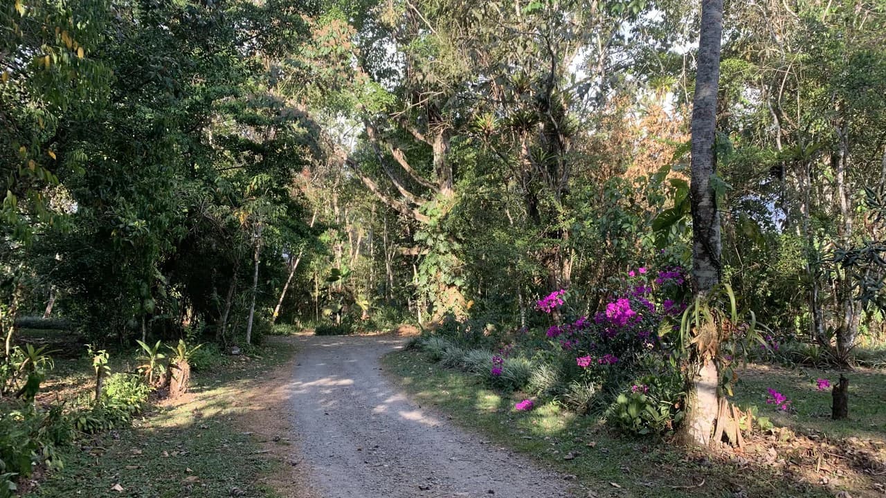 Talari Hotel: Nature and Bird Lover's Paradise - Mountain Lodge - photo 32