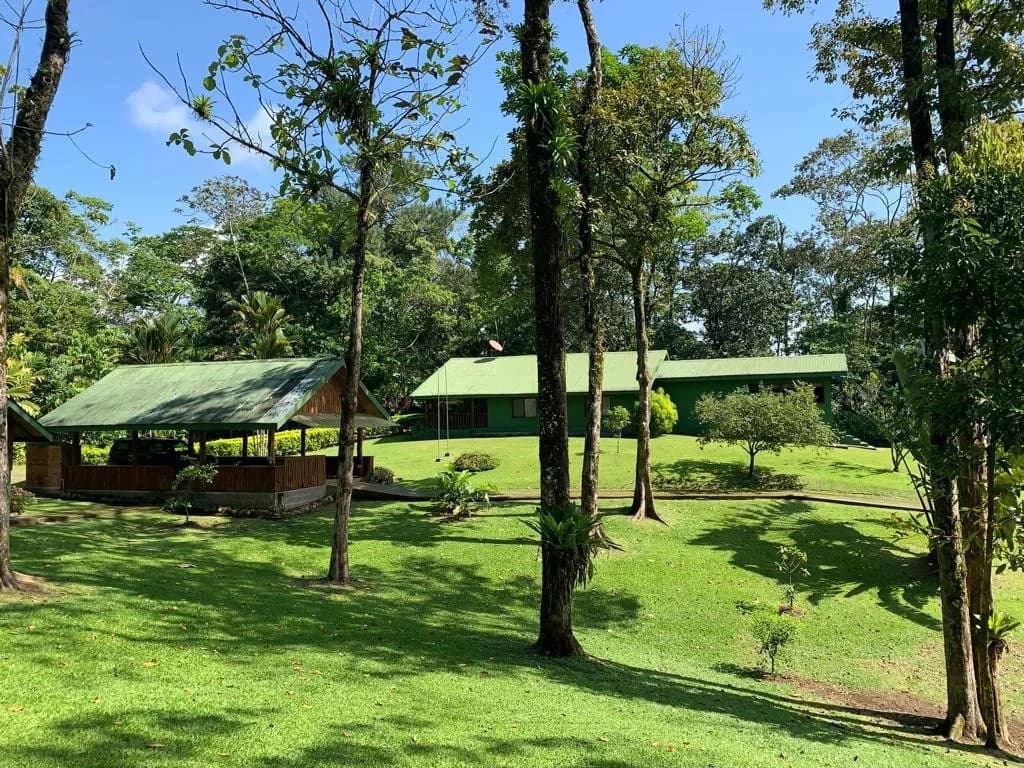 Property For Sale in Venecia - photo 2