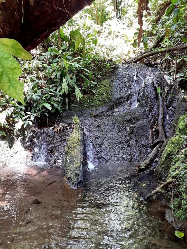 SECLUDED PARADISE WITH STUNNING VIEWS, WATERFALLS & ABUNDANT WILDLIFE - photo 43