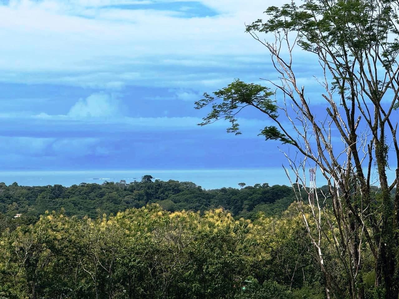 Prime Ocean View Development Property in Downtown Uvita - photo 6
