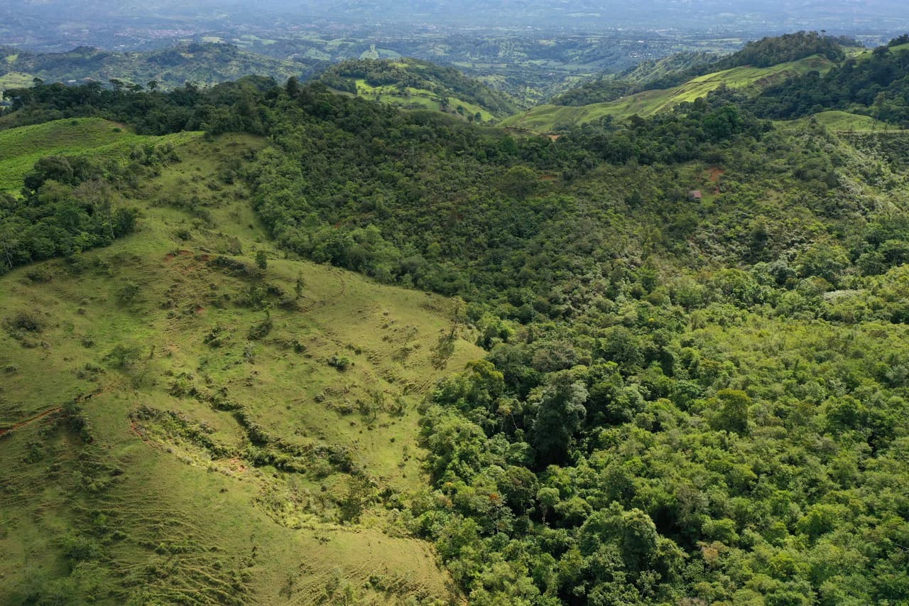 47 Acre Off Grid Ranch with Ocean & Mountain Views San Lorenzo Perez Zeledón - photo 13