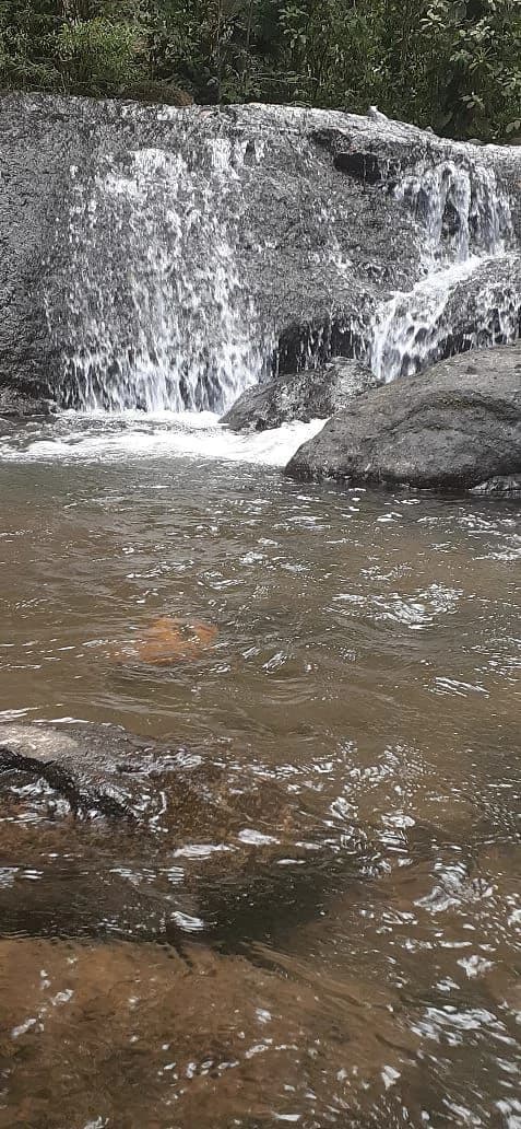 SECLUDED PARADISE WITH STUNNING VIEWS, WATERFALLS & ABUNDANT WILDLIFE - photo 45