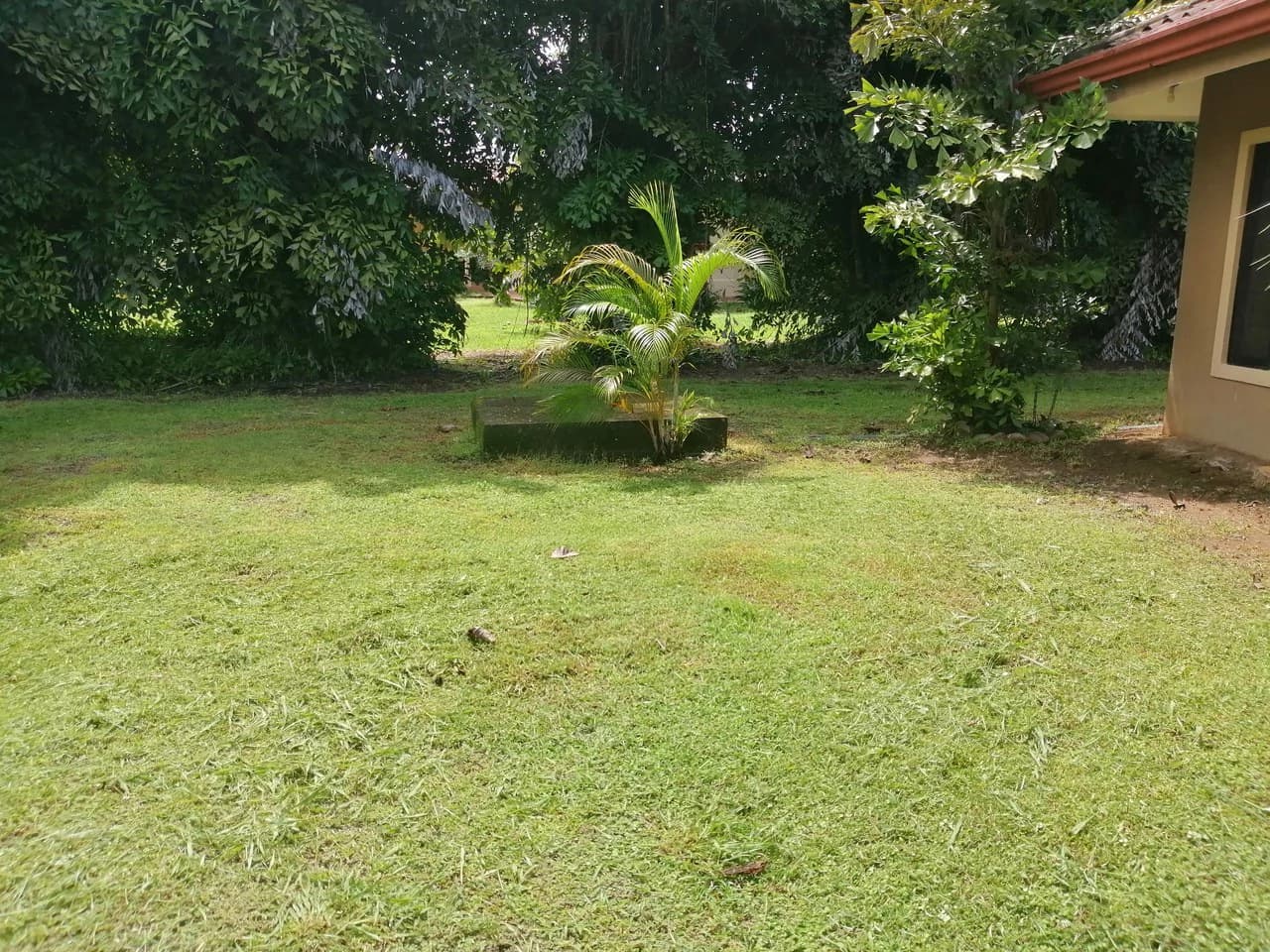 Amazing Home on Huge Lot Near the Beach - photo 45