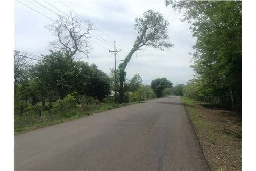 Commercial land in Guanacaste 0.87ha : 900701029-120 - photo 5