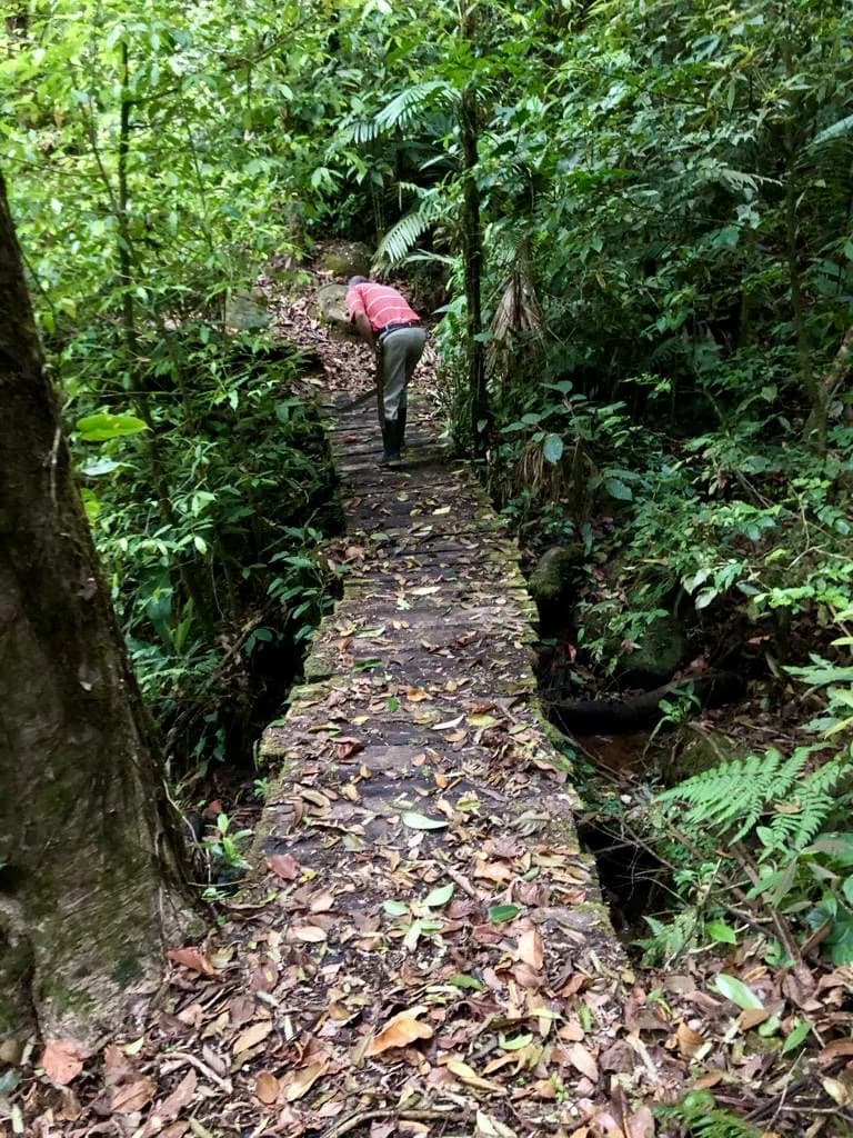 Spectacular 72.44 acres: Costa Rica Nature Estate | Private Waterfall, River, Home & Spectacular Views | Near La Fortuna - photo 17