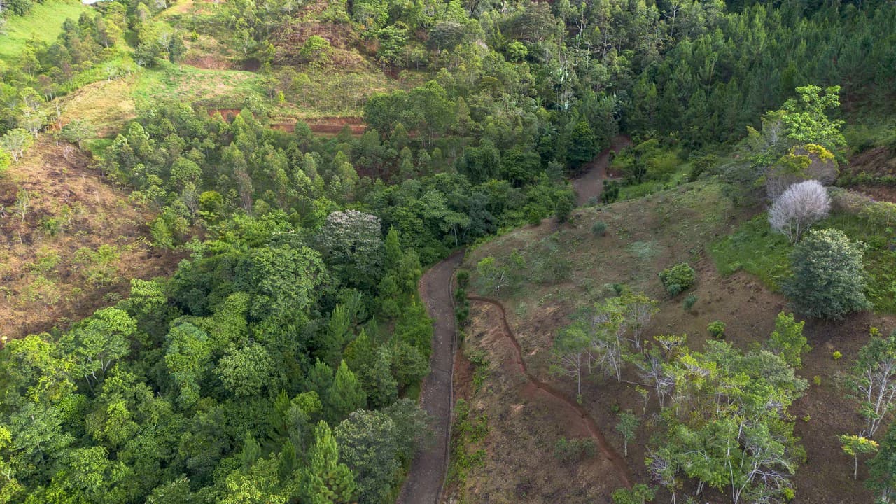 10.21 Acres with Views & Plantels – Pérez Zeledón - photo 22