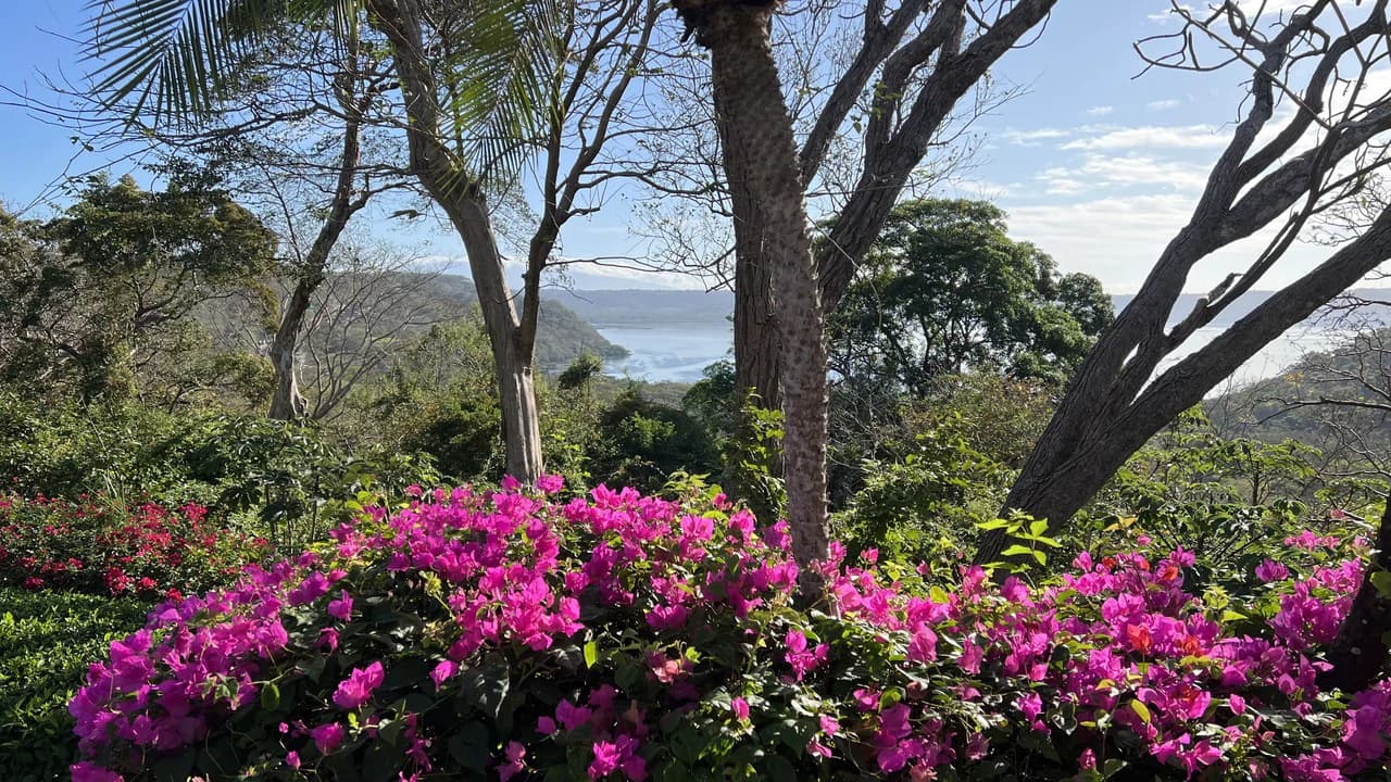 A Masterpiece of Luxury at Peninsula Papagayo - photo 3