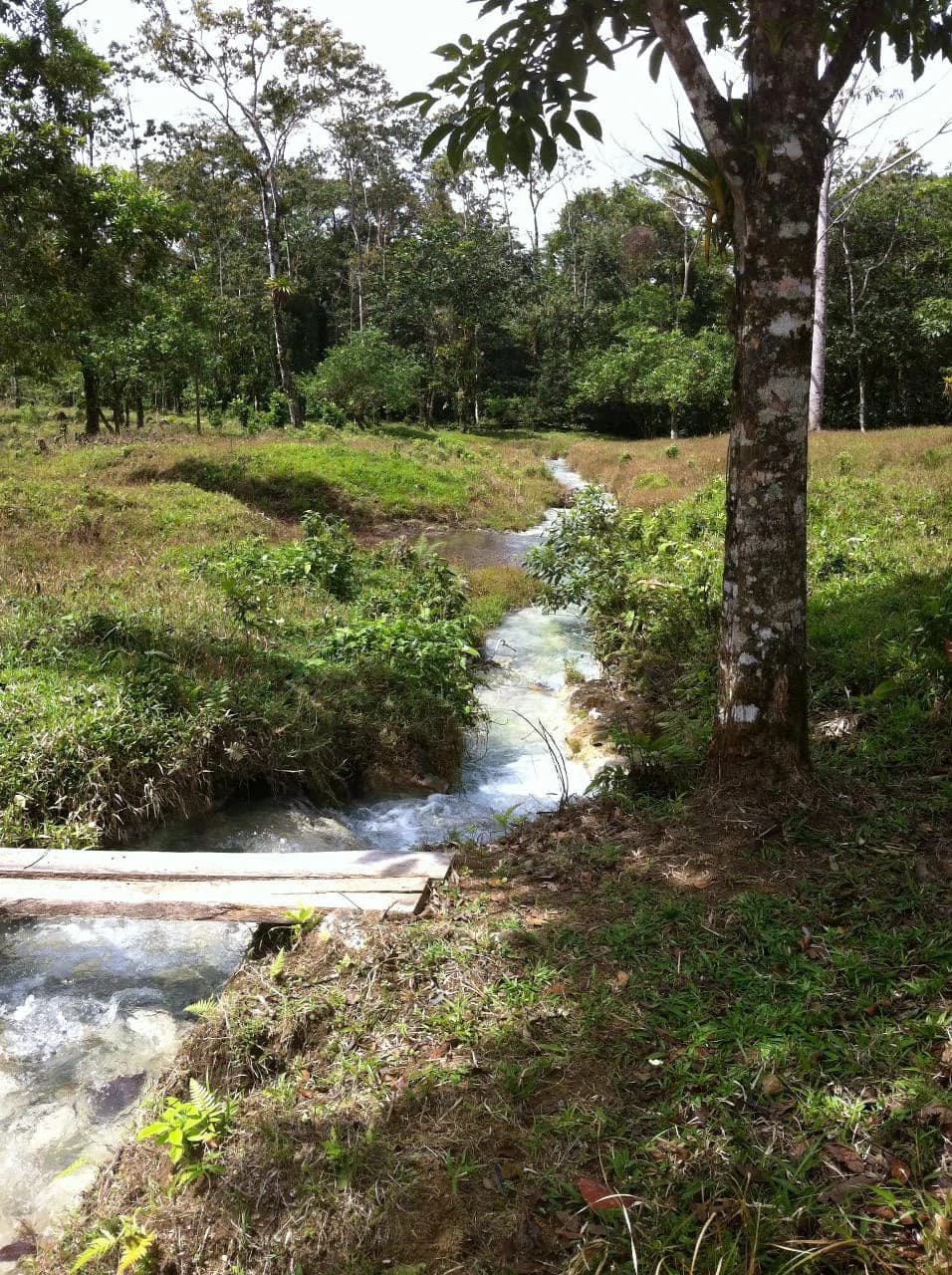 Hot and Cold Thermal Springs for Sale – Beautiful Property in Dos Ríos, Alajuela with Excellent Commercial Potential - photo 92