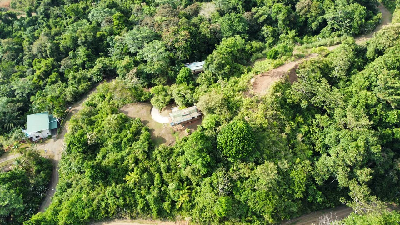 Casa Vista Hermosa: Nature refuge near Manuel Antonio National Park - photo 19