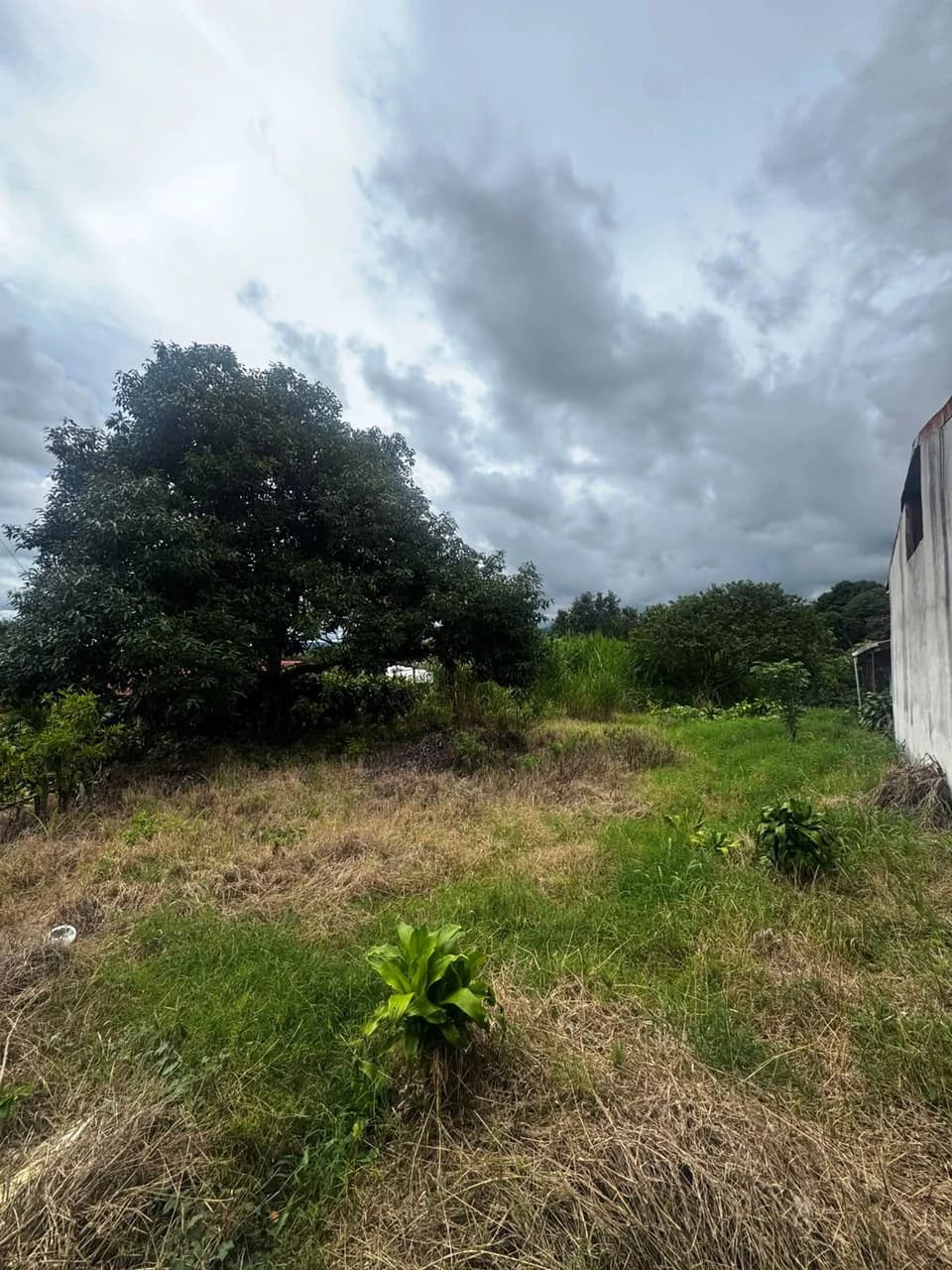 Beautiful Homesite: 657 m2 nature lot! - photo 2