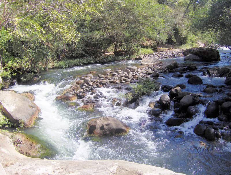Colorado River Paradise Farm for Sale - Just 10 Minutes from Liberia - photo 16