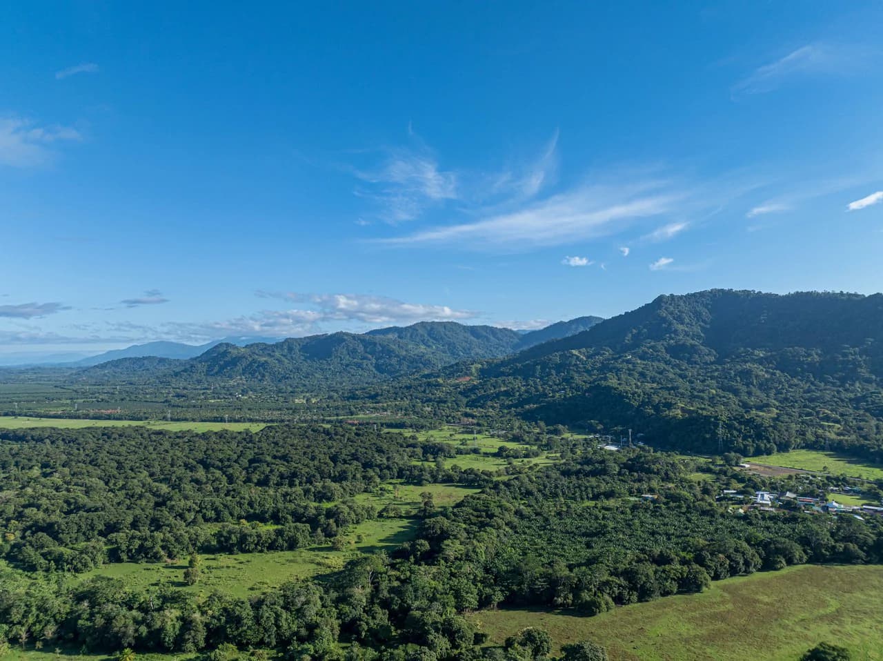 Casa Tortuga: New Home Just 3 Minutes Walk From Playa Matapalo - photo 5