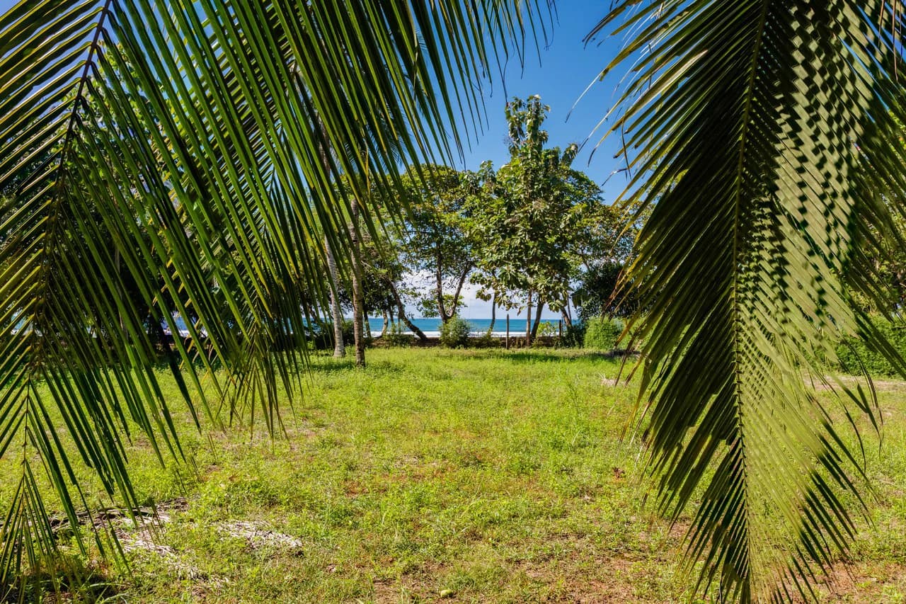 Exclusive Beachfront Opportunity south of Manuel Antonio Costa Rica - photo 19