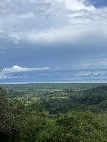Panoramic 180 Degree Ocean View Lot Ready To Build Close To Ojochal - photo 46