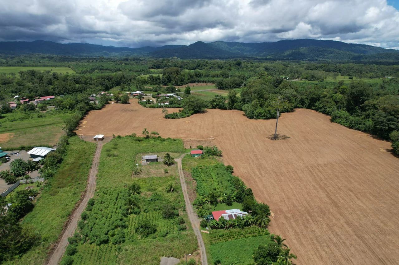 Finca La Palma, Puerto Jimenez: Excellent location ideal for development - photo 13