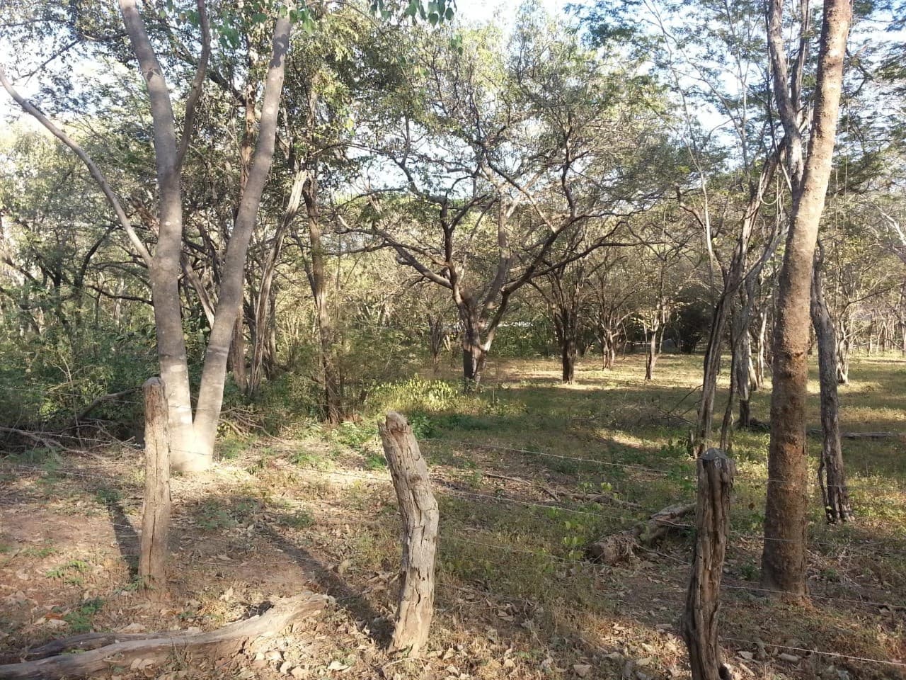 Large Commercial Development Property with Incredible Ocean Views in Playa Conchal, the Famous Gold Coast of Guanacaste - photo 4