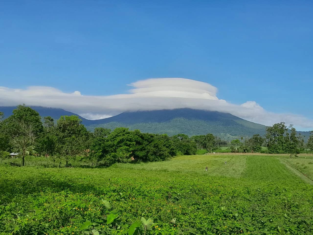 La Fortuna (Arenal) Opportunity!: 4 ha in La Fortuna Tourist Hotspot! USO: Hotel | Commercial | Mixted - photo 2
