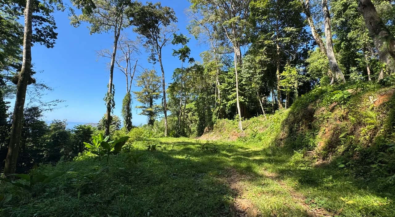 Two Ocean View Lots in Uvita – Easy Access and Large Building Sites - photo 7