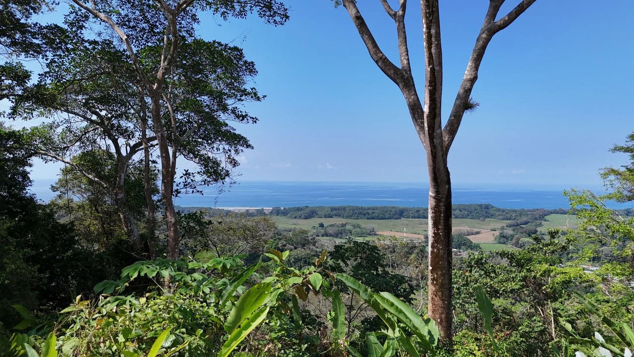 Exceptional Development Opportunity 71 acre Riverfront & Ocean View in Hatillo