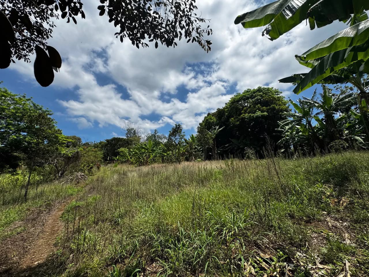 Finca with Views!: It's Perfect for You! - photo 7