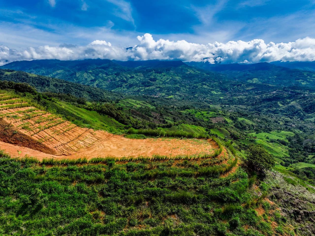 12 Acre Fruit Farm Above San Isidro City Lights Chirripó Views and Deep Well Water - photo 25
