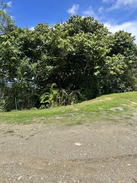 Panoramic 180 Degree Ocean View Lot Ready To Build Close To Ojochal - photo 17