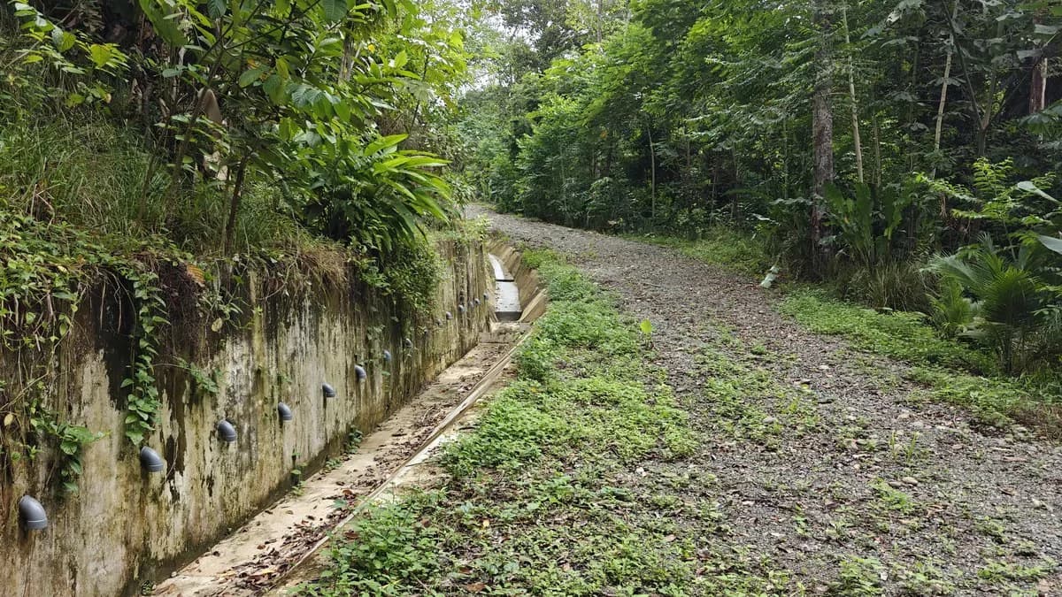 ID 345: 6,763m² Ocean View Development Land for Sale in Puerto Viejo - photo 7