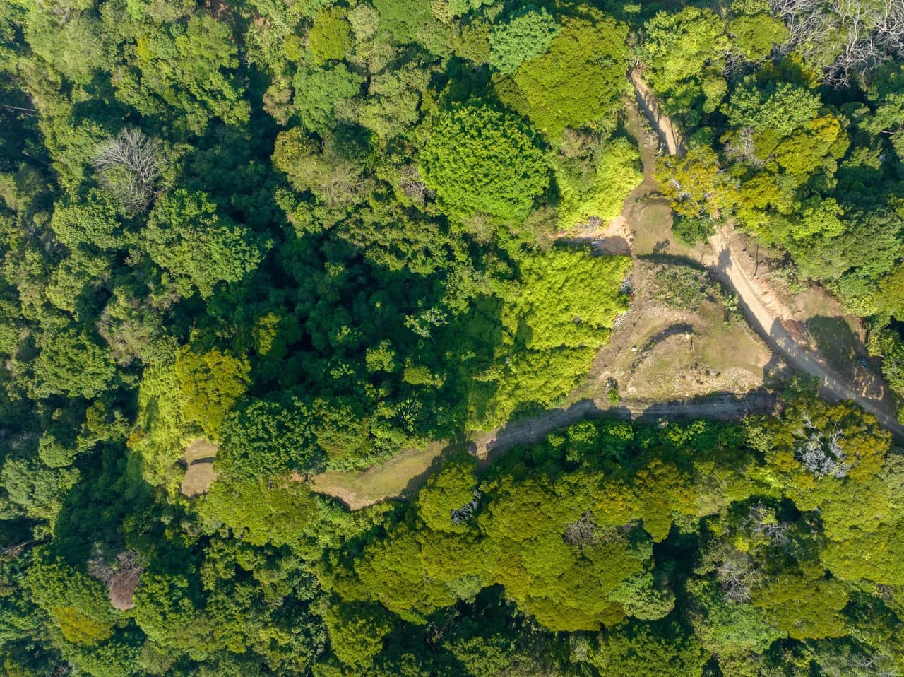 Nido Escondido Luxury Home in Private Community in Dominical - photo 72