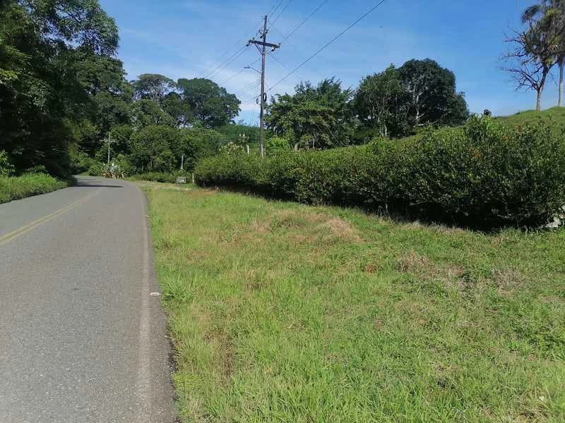 69.16 Acres Property | Mountain & Top Ocean View with Small Home - photo 24