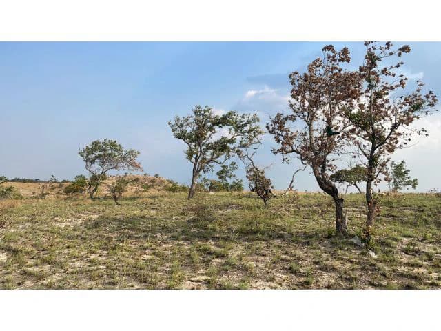 Zoning for homes, apartments, and warehouses in the mountains of Liberia, Beautiful 9.7 ha land with building permits - photo 2