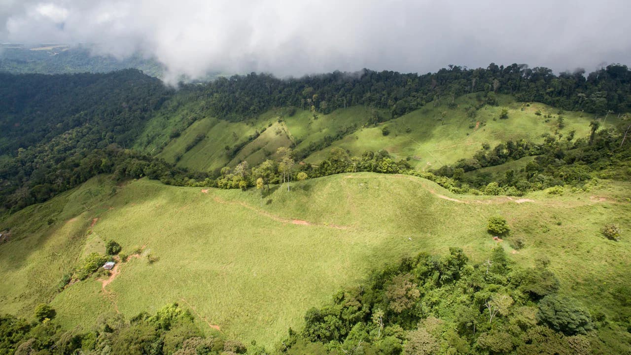 Off Grid 70-Hectare Farm with Stunning Ocean Views and Freshwater Springs - photo 27