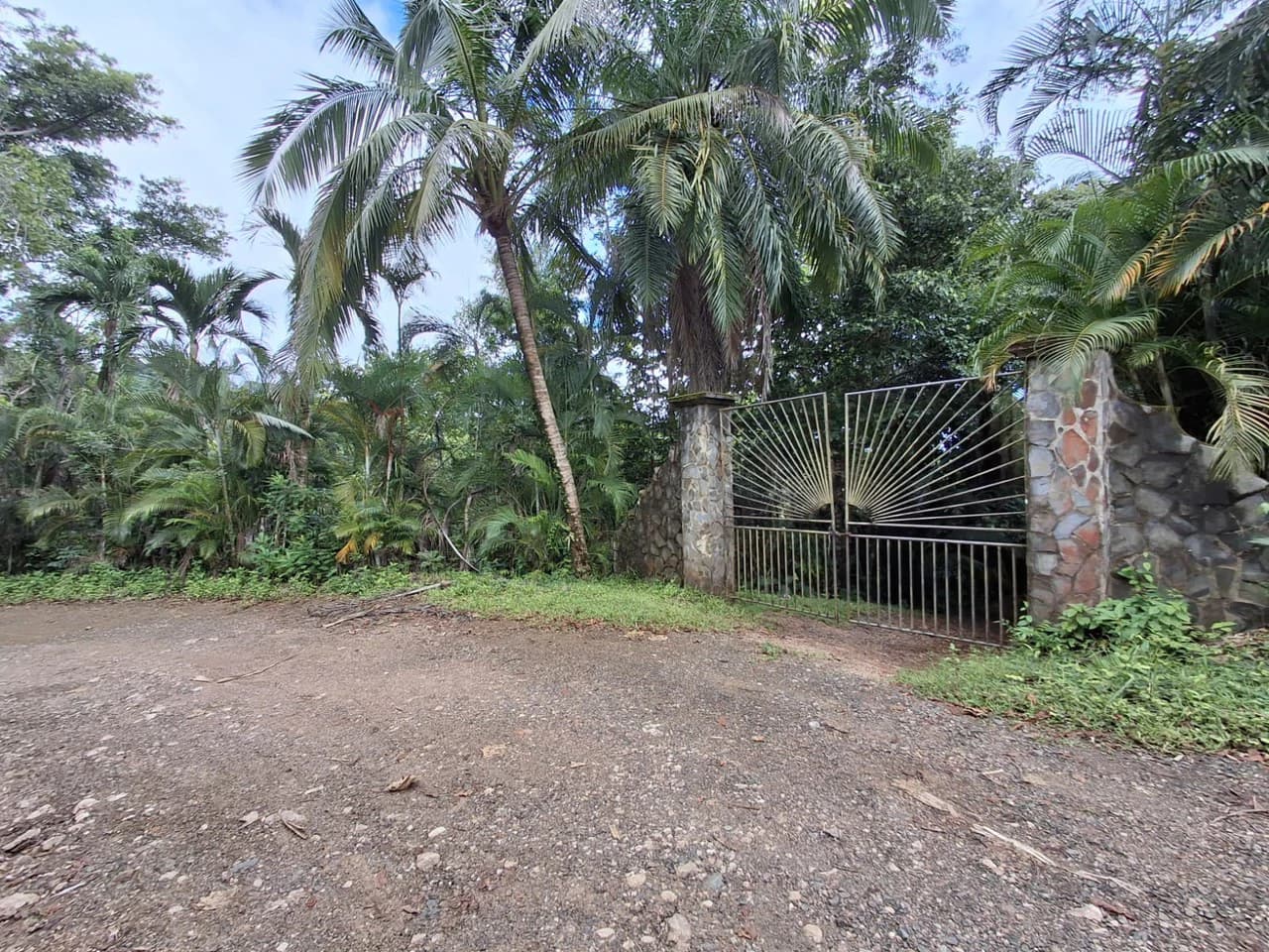 Hilltop Ocean Paradise: 10 ha (103,600m2) for private compound or development - photo 3