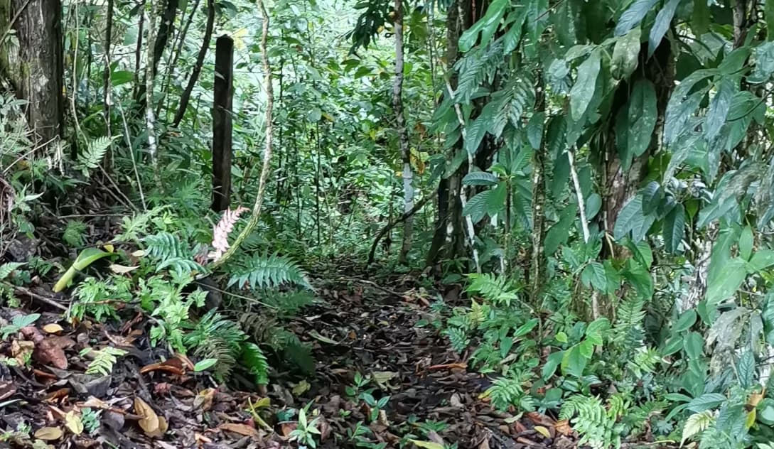 WHISPERING WILDS - photo 28