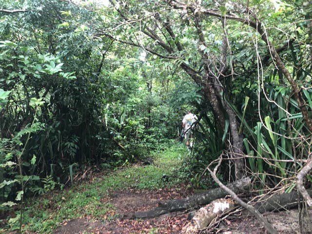 Warm Spring Mountain Property in a tropical landscape and antique wooden house, 50 minutes from Liberia city - photo 19
