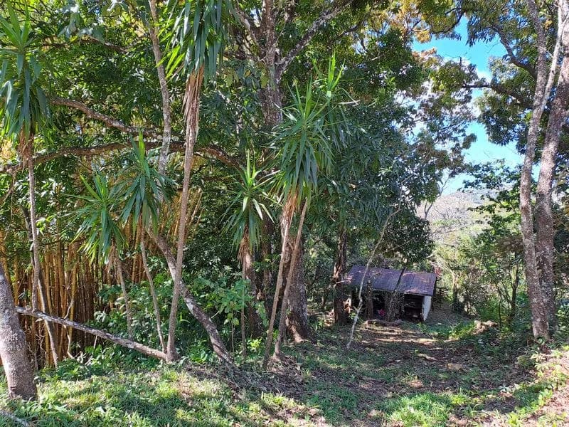 Lotes Mirador: Lotes Mirador, Breathtaking Lots with Stunning Ocean and Mountain Views, Large Building Pads, just 30 minutes from Samara Beach - photo 4