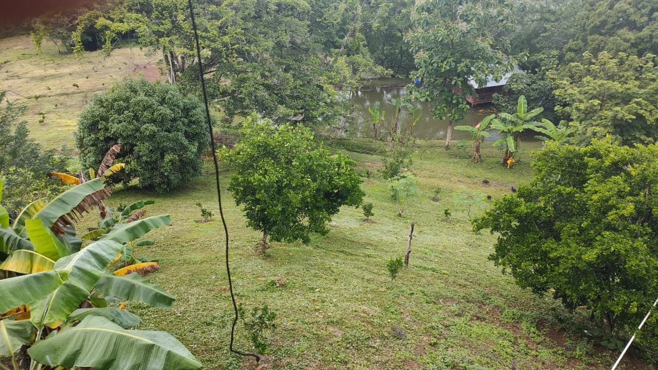 Agricultural Farm for Sale in the mountains of Hojancha, Beautiful 25-acre property with floating lake Apartment and Huge main home - photo 11
