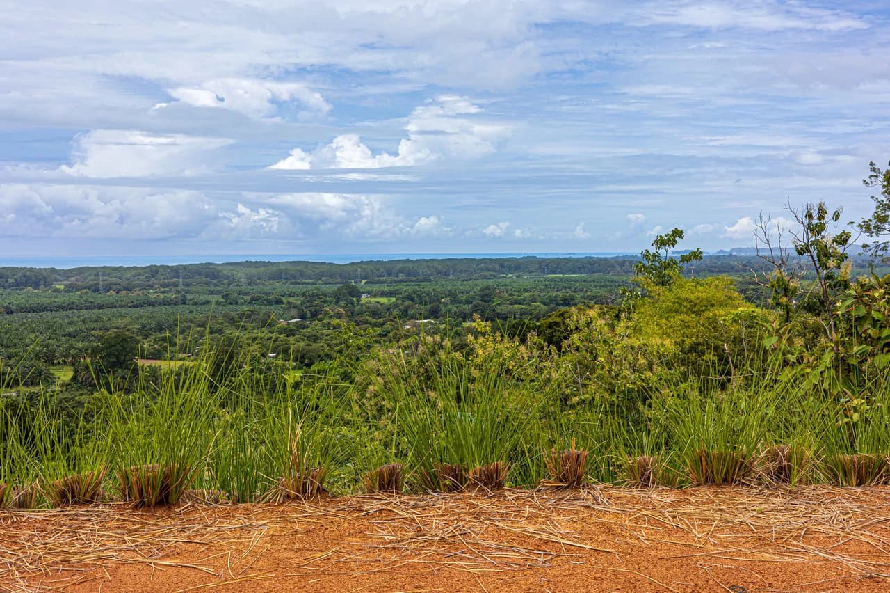 New Gated Development in Matapalo - Ocean View and Flat Land, ready to build! - photo 23