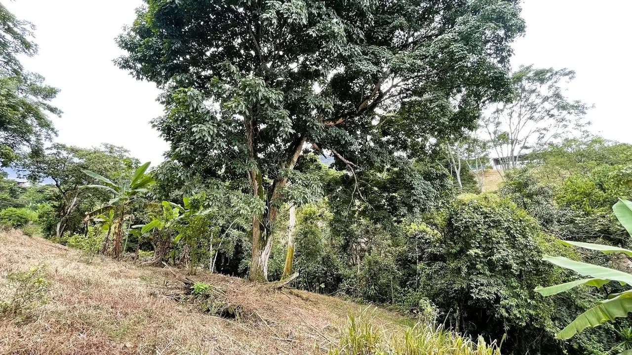 LAND FOR SALE IN SAN MIGUEL, NARANJO - photo 21