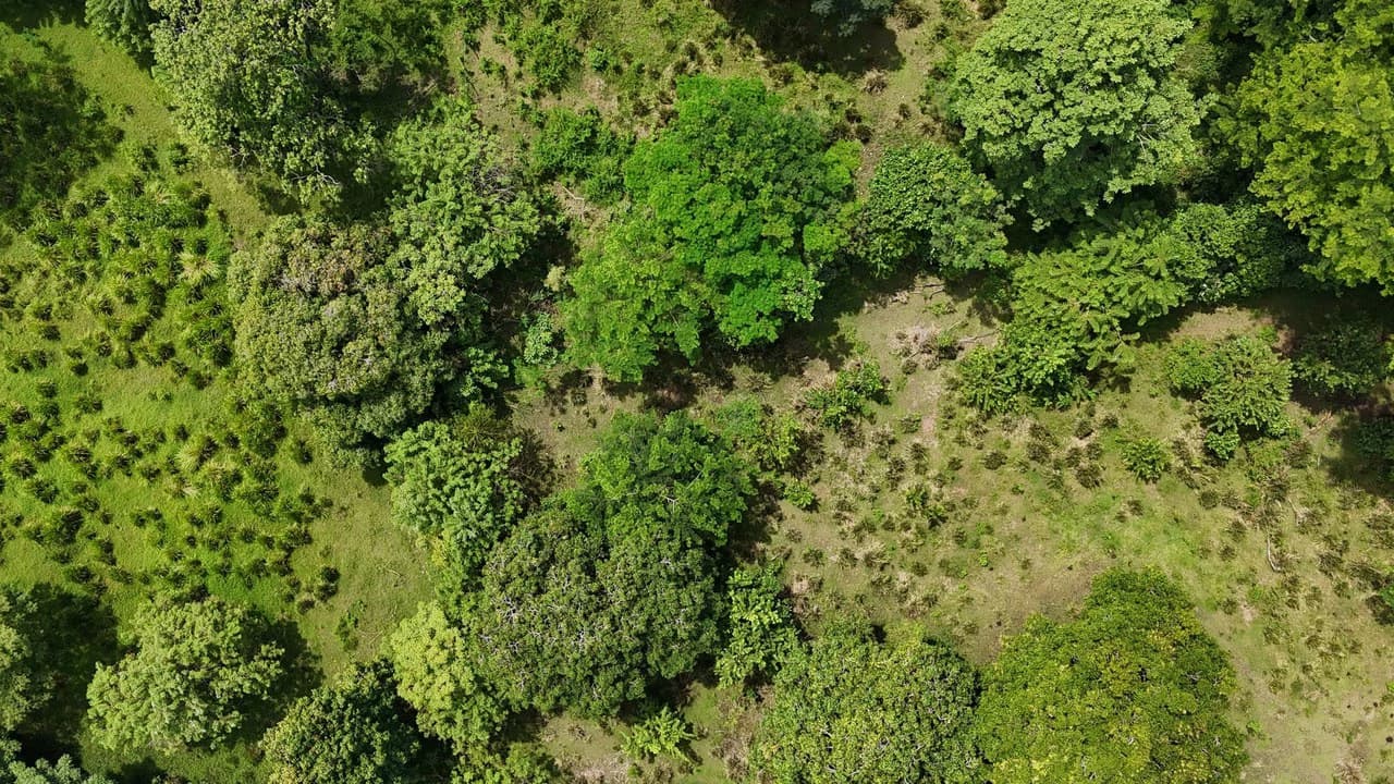 Walk to the beach, Developement Land, Mini Ranch, Central Uvita - photo 10