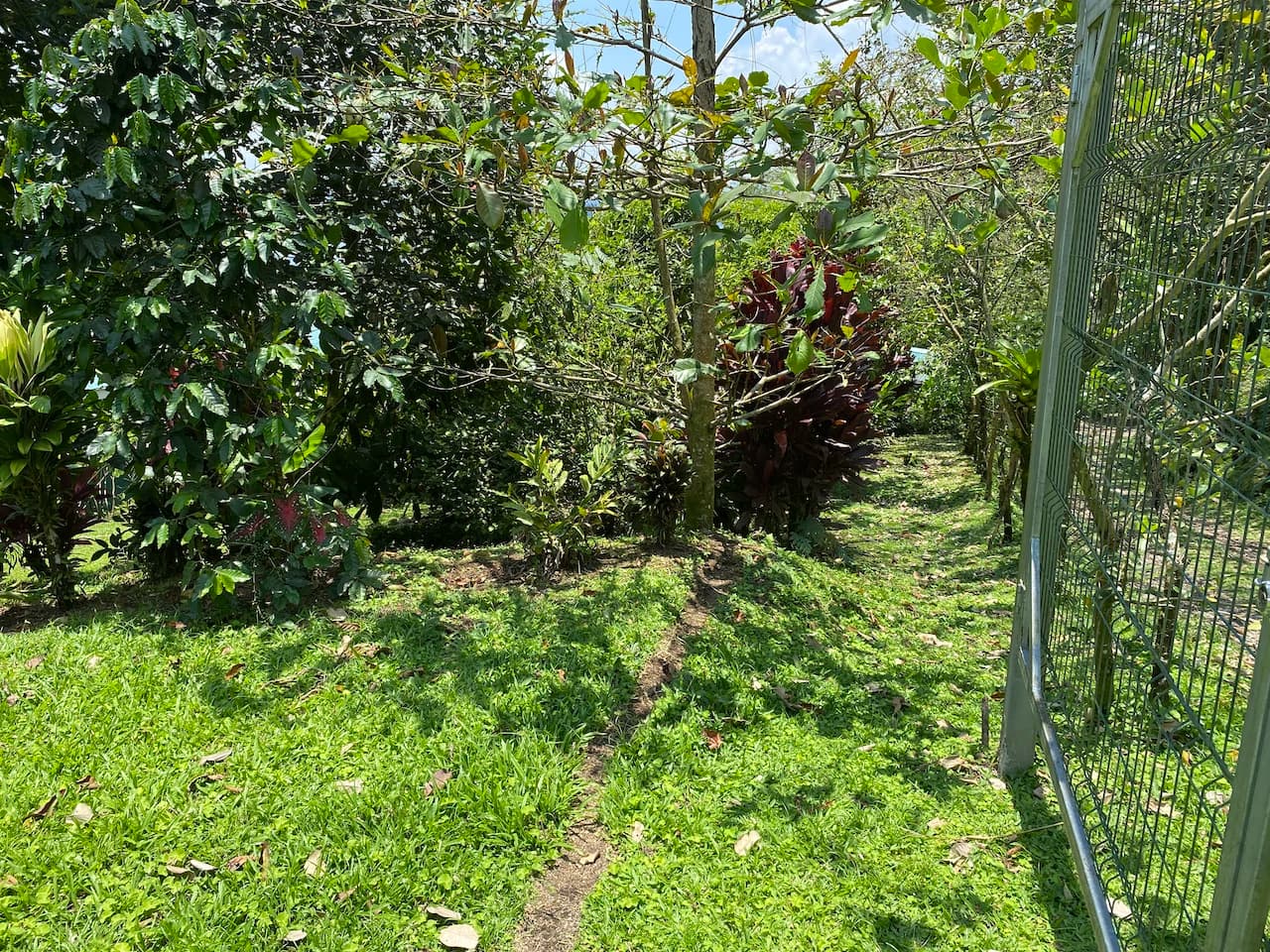 Beautiful Property with 4 cabins in El Castillo with gorgeous Lake View..!! - photo 5