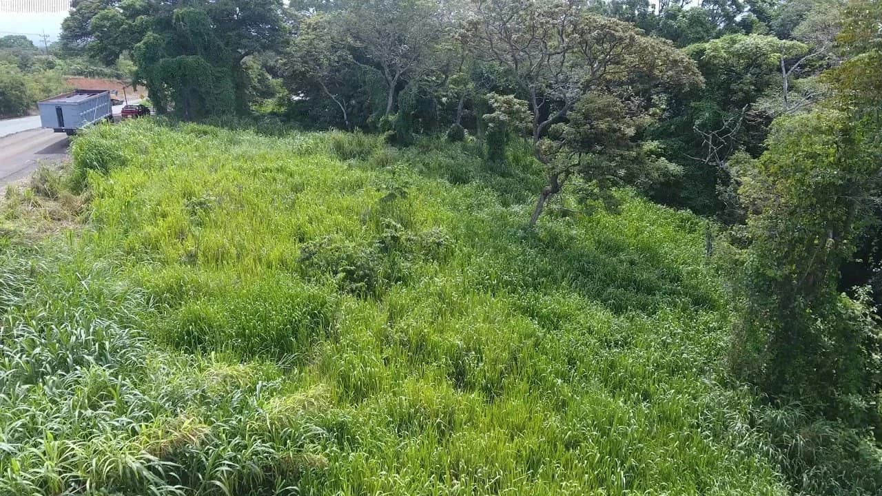 Home Construction Site For Sale in La Garita - photo 4